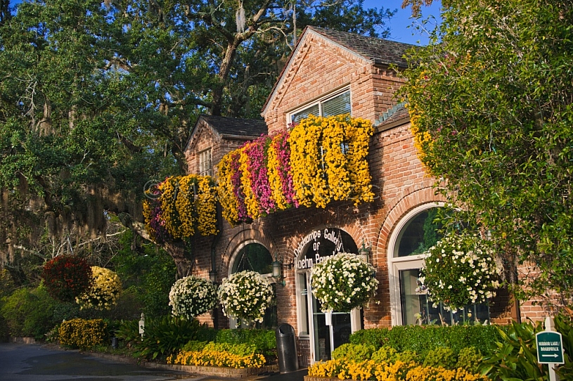Bellingrath Gardens Mums