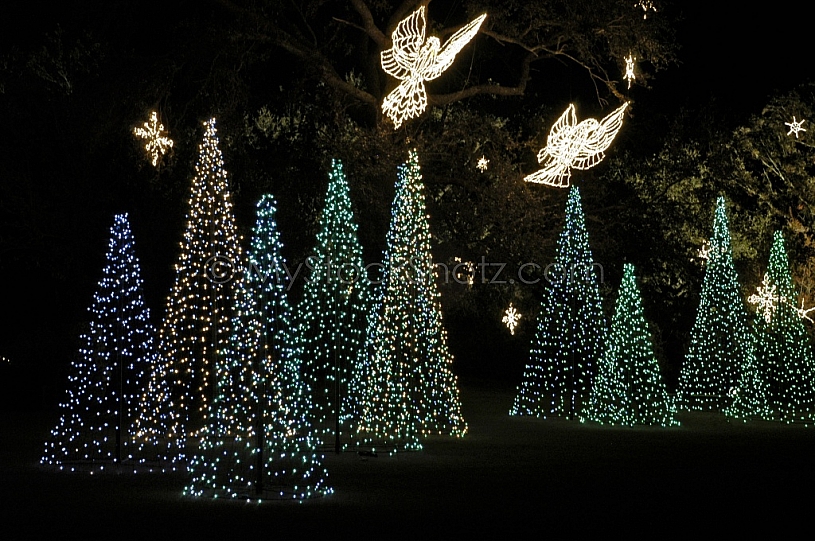 Christmas Lights at Bellingrath Gardens