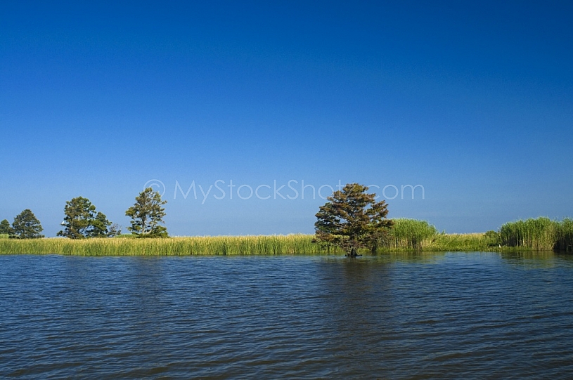 The Beautiful Mobile Delta - just north of the Causeway