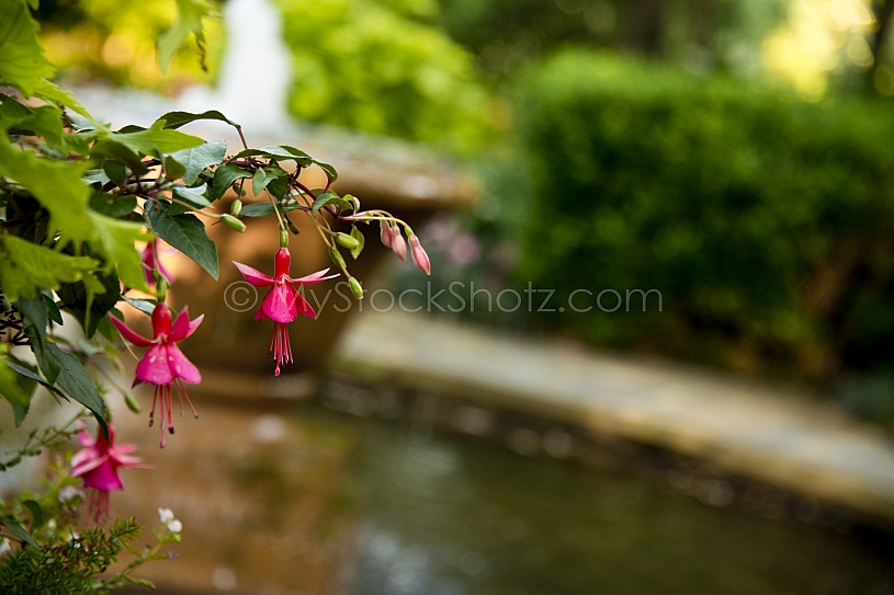Beautiful Bellingrath Gardens
