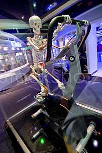 The Exploreum of Mobile