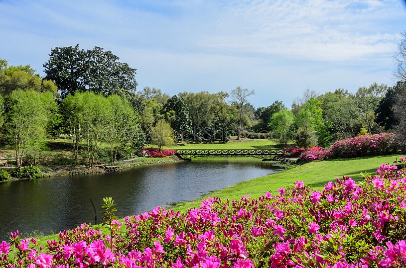 Beautiful Bellingrath Gardens