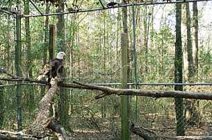 Mobile Environmental Center - West Mobile