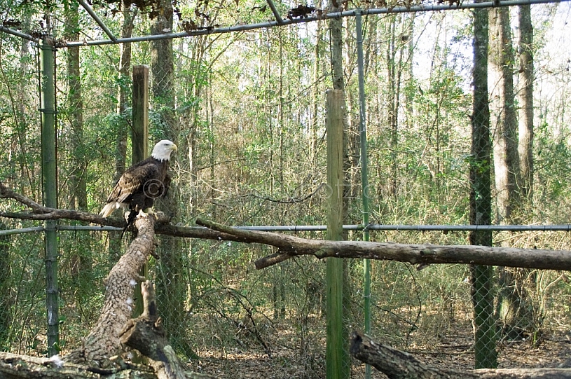 Mobile Environmental Center - West Mobile