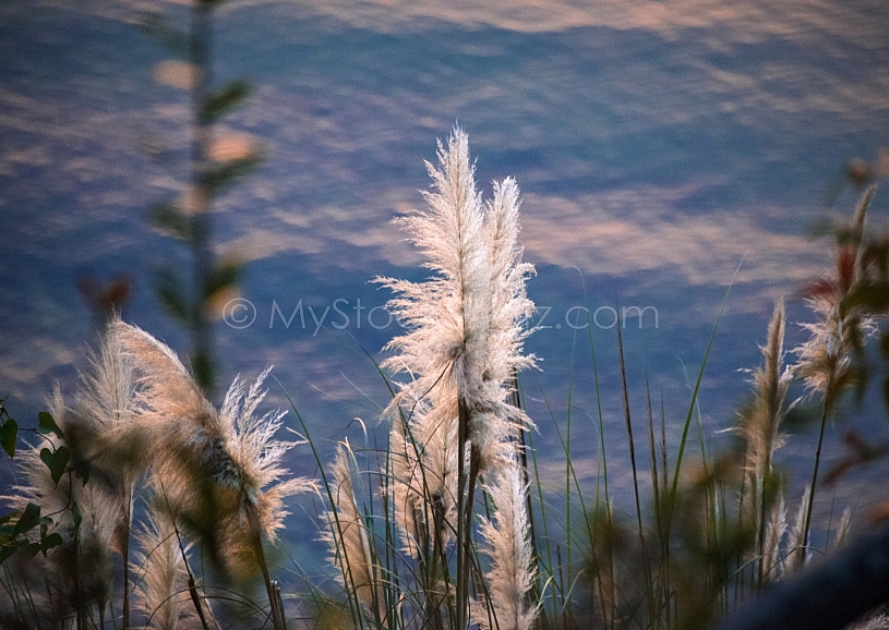 Mobile Bay Sunset - Montrose Alabama