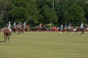 Polo At The Point 