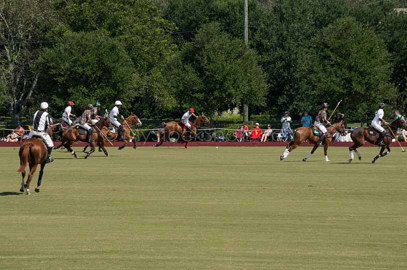 Polo At The Point 