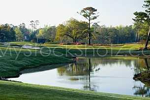 Tranquil golf course