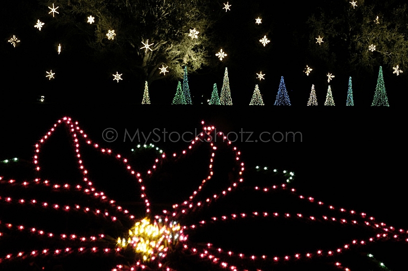 Christmas Lights at Bellingrath Gardens