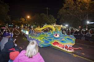 Mardi Gras in Mobile!