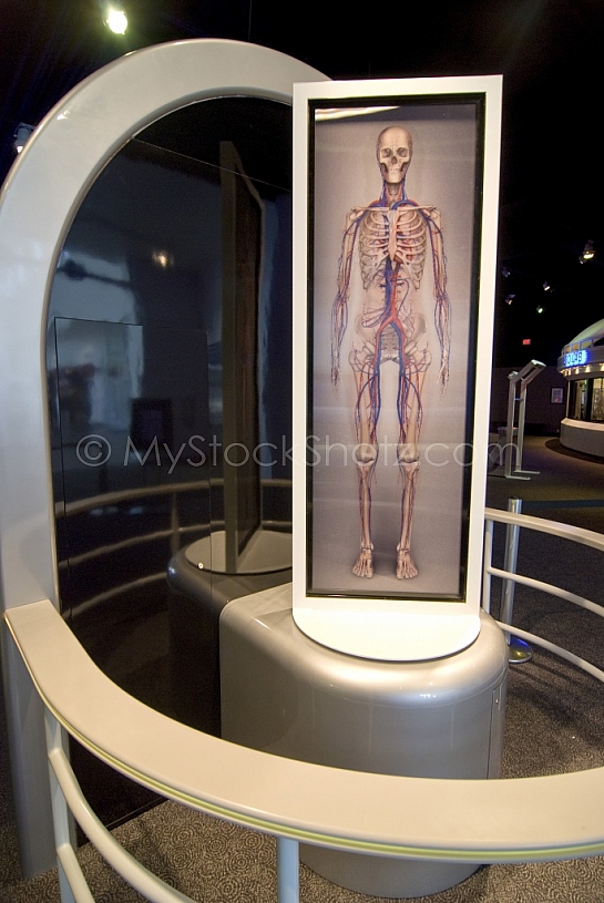 The Exploreum of Mobile