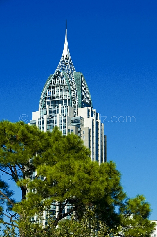 RSA Tower over the trees