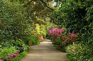 Beautiful Bellingrath Gardens