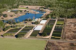 Commercial Nursery in Mobile, Alabama - aerial