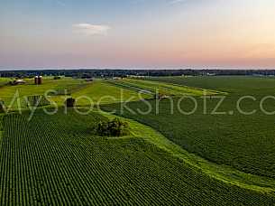 Farmland Aerial