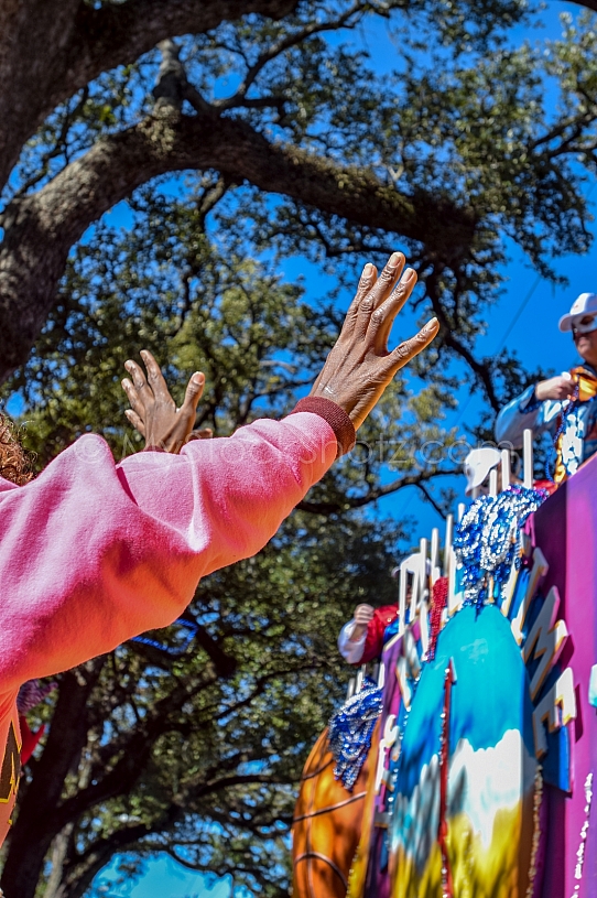 Mardi Gras in Mobile, Alabama