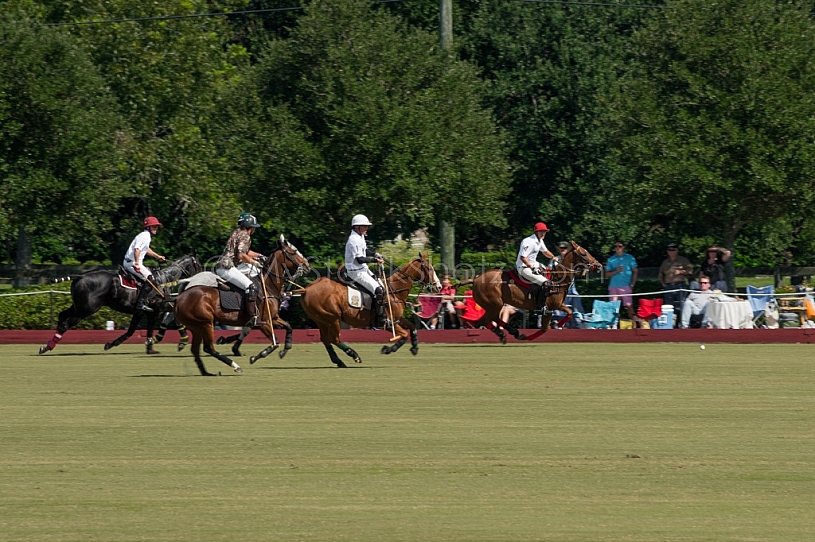 Polo At The Point 