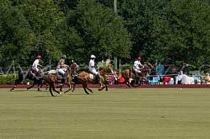Polo At The Point 