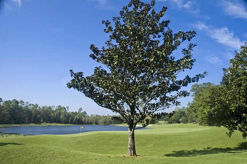 Golf - Magnolia Grove - Robert Trent Jones Golf Trail