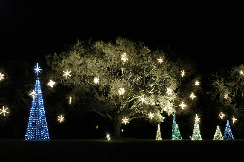 Christmas Lights at Bellingrath Gardens