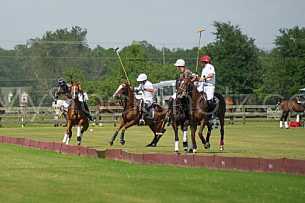Polo At The Point
