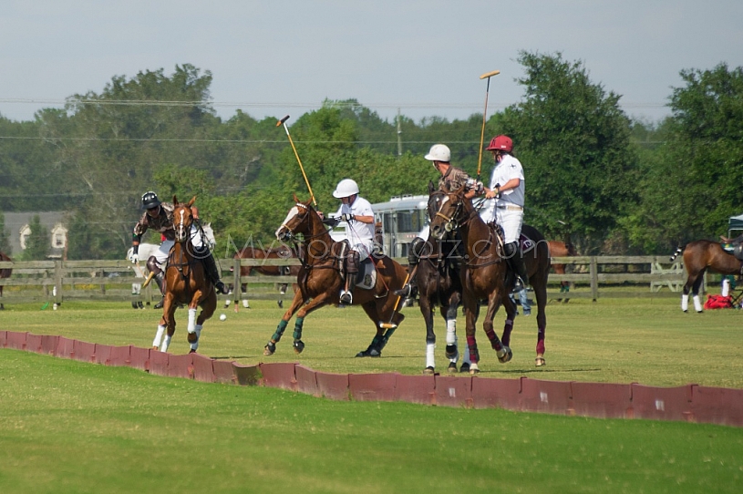 Polo At The Point