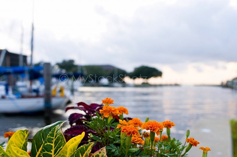 Marriott Grand Hotel Marina