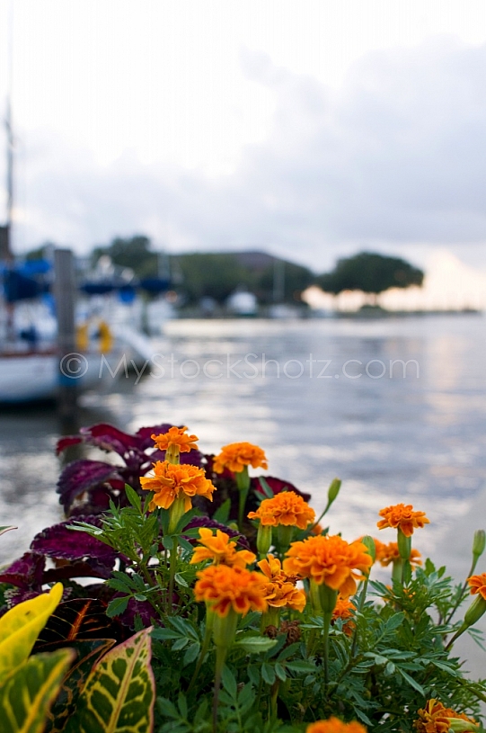 Marriott Grand Hotel Marina