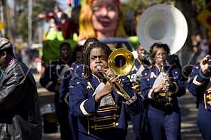 Mardi Gras in Mobile!