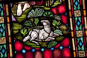 Stained Glass Window