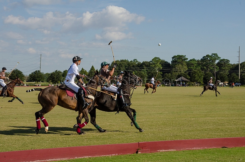 Polo At The Point Polo At The Point