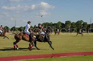 Polo At The Point 