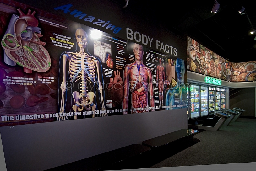 The Exploreum of Mobile