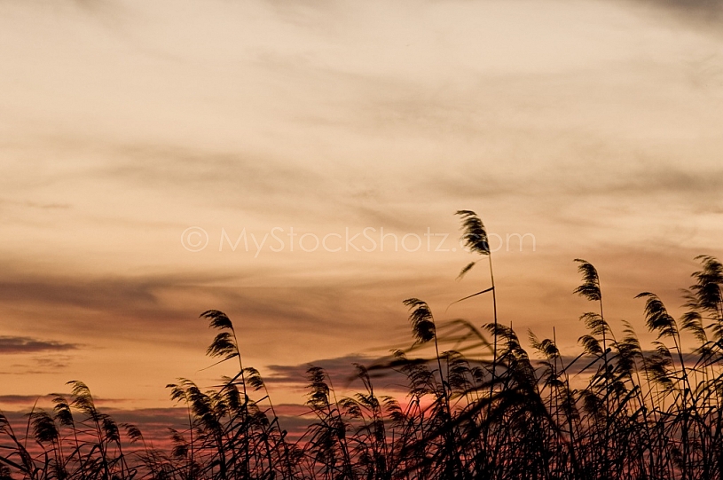 Sunset at Mobile Bay