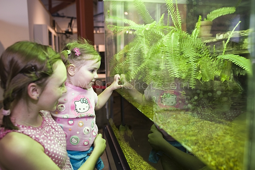 Dauphin Island - May 20, 2010