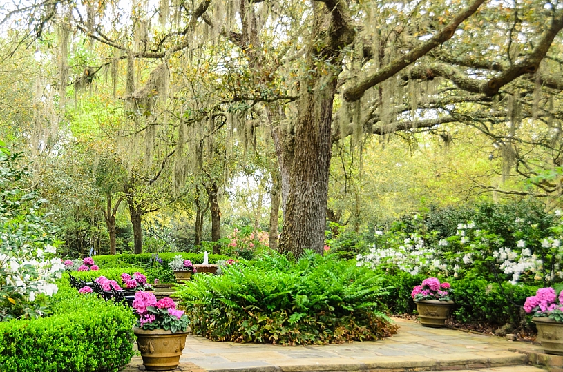 Beautiful Bellingrath Gardens