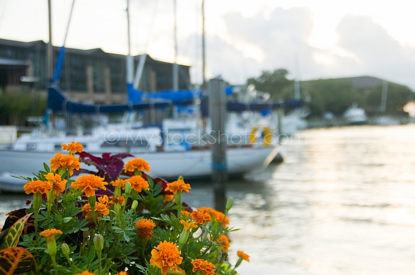 Marriott Grand Hotel Marina