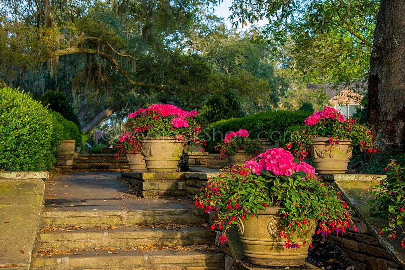 Beautiful Bellingrath Gardens