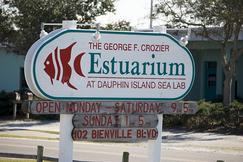 Estuarium Entrance
