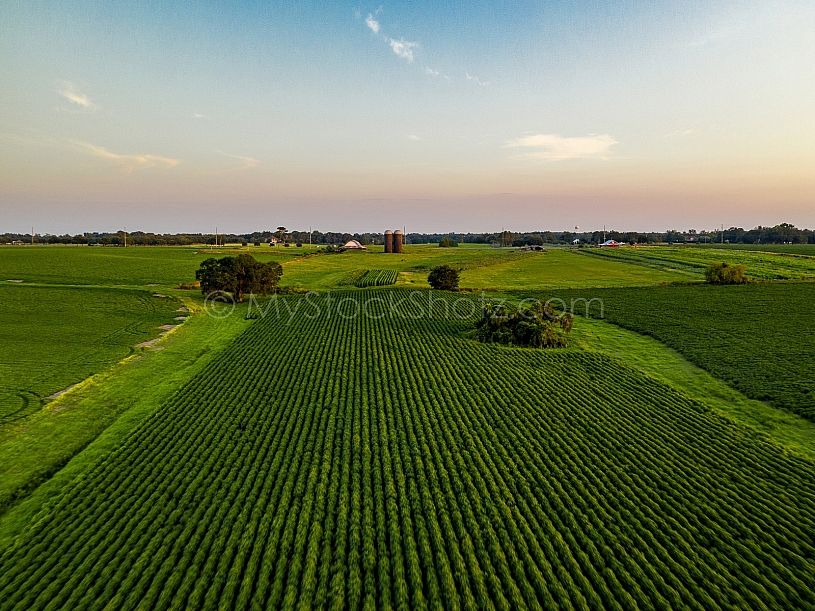 Farmland Aerial