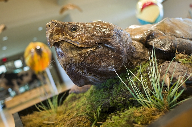 FIve Rivers Nature Conservatory