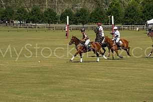 Polo At The Point 