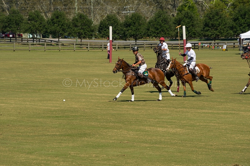 Polo At The Point 