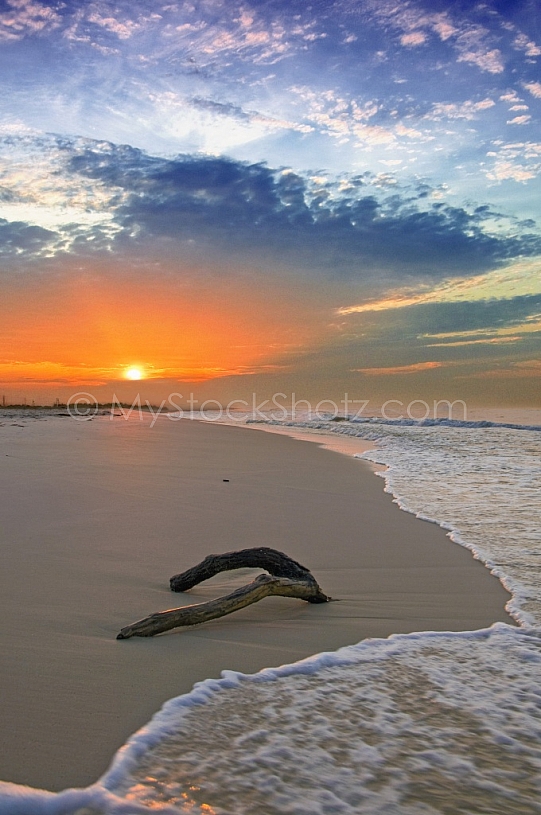 A Tranquil Morning at the Gulf