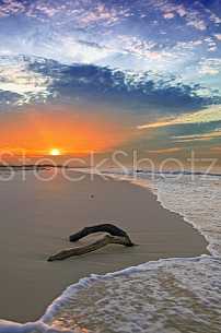 A Tranquil Morning at the Gulf