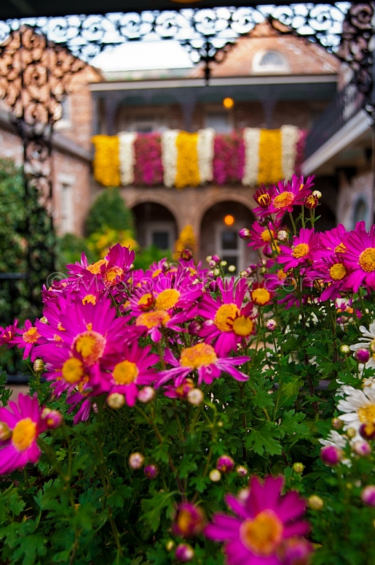 Bellingrath Gardens & Home - Mums in Bloom