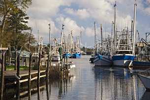 Shrimp Boats at Bayou La Batre