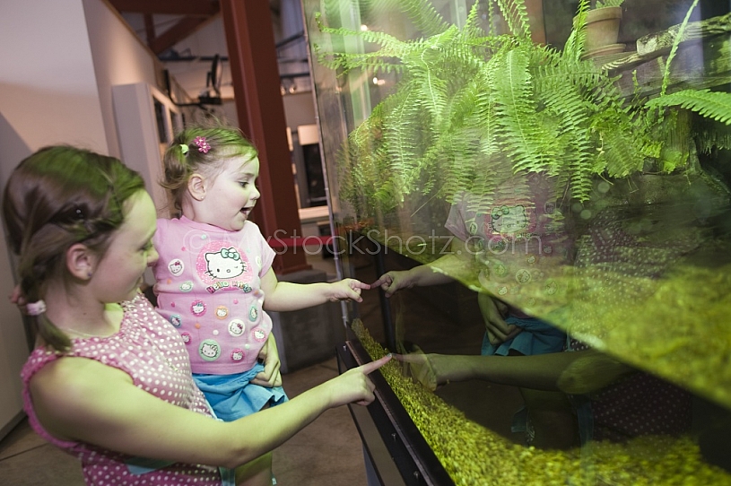 Dauphin Island - May 20, 2010
