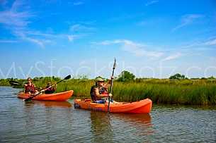 Dauphin Island Alabama Fun!