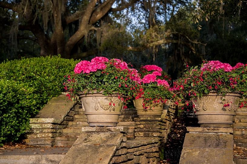 Beautiful Bellingrath Gardens